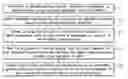 Fig. 01 - SYSTEM AND METHOD FOR OPTOGENETIC THERAPY
