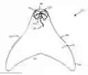 Fig. 01 - Monofin, tail and method