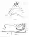 Fig. 03 - Monofin, tail and method