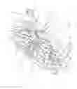 Fig. 02 - Self-compensating tire compression trainer