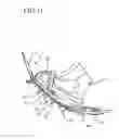 Fig. 07 - Mesh for a snowshoe
