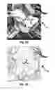 Fig. 03 - Fibrous nonwoven and method for the production thereof