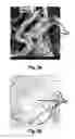 Fig. 04 - Fibrous nonwoven and method for the production thereof