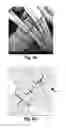 Fig. 06 - Fibrous nonwoven and method for the production thereof