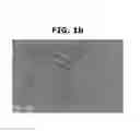 Fig. 03 - NANOCOMPOSITE ULTRA-THIN SEPARATION MEMBRANE AND METHOD FOR MANUFACTURING THE SAME