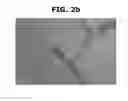 Fig. 05 - NANOCOMPOSITE ULTRA-THIN SEPARATION MEMBRANE AND METHOD FOR MANUFACTURING THE SAME