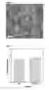 Fig. 04 - Composite separation membrane including coating layer of graphene oxide/bile acid or salt thereof and method for manufacturing the same
