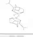 Fig. 37 - Pervaporation membranes derived from polycyclo-olefinic block copolymers