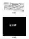 Fig. 19 - Energy-Producing Reaction Devices, Systems and Related Methods