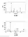 Fig. 30 - Energy-Producing Reaction Devices, Systems and Related Methods