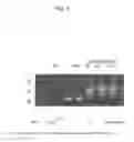 Fig. 08 - NUCLEIC ACID SAMPLE PREPARATION METHODS AND COMPOSITIONS