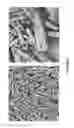 Fig. 03 - Zeolite ZSM-18, its synthesis and its use