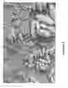 Fig. 04 - Zeolite ZSM-18, its synthesis and its use