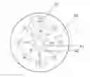 Fig. 01 - Microfluidic device and method for operating thereof