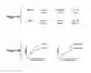 Fig. 13 - Bead manipulation techniques
