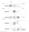 Fig. 27 - Bead manipulation techniques