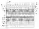 Fig. 01 - Fluid ejection apparatus with filter