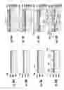 Fig. 10 - Fluid ejection apparatus with filter