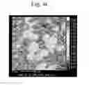 Fig. 05 - Compact for producing a sintered alloy, a wear-resistant iron-based sintered alloy, and a method for producing the same