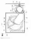 Fig. 04 - POLISHING APPARATUS