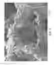 Fig. 04 - Nonwoven abrasive articles and methods of making the same