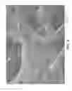 Fig. 05 - Nonwoven abrasive articles and methods of making the same