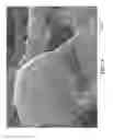Fig. 06 - Nonwoven abrasive articles and methods of making the same