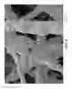 Fig. 07 - Nonwoven abrasive articles and methods of making the same