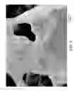 Fig. 09 - Nonwoven abrasive articles and methods of making the same