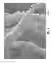 Fig. 10 - Nonwoven abrasive articles and methods of making the same
