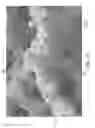 Fig. 11 - Nonwoven abrasive articles and methods of making the same