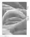 Fig. 14 - Nonwoven abrasive articles and methods of making the same