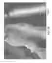 Fig. 15 - Nonwoven abrasive articles and methods of making the same
