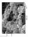 Fig. 16 - Nonwoven abrasive articles and methods of making the same