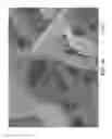 Fig. 17 - Nonwoven abrasive articles and methods of making the same