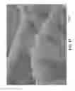 Fig. 19 - Nonwoven abrasive articles and methods of making the same