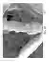 Fig. 20 - Nonwoven abrasive articles and methods of making the same