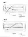 Fig. 07 - Polishing method