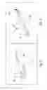 Fig. 03 - Hick Carpentry, Construction and Demolition Tool