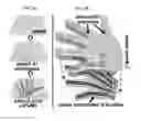 Fig. 03 - Flexible and stretchable electronic strain-limited layer for soft actuators
