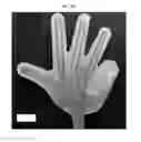 Fig. 06 - Flexible and stretchable electronic strain-limited layer for soft actuators