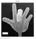 Fig. 08 - Flexible and stretchable electronic strain-limited layer for soft actuators