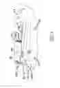 Fig. 07 - Foldable knife with multiple switching modes