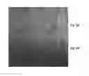 Fig. 06 - Method to improve surface finish of glass fiber mat