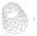 Fig. 03 - Method of Manufacturing a High Performance Polymer and Nanotube Composite