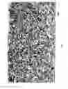Fig. 03 - Sub-ambient pressure morphology control process for use in molding extruded polymer foams, and parts produced therefrom