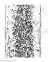 Fig. 19 - Sub-ambient pressure morphology control process for use in molding extruded polymer foams, and parts produced therefrom