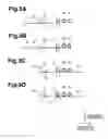 Fig. 09 - Inkjet printer and method