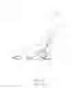 Fig. 02 - Ratchet buckle