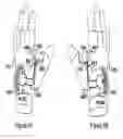 Fig. 07 - Wearable Electronic Signaling Devices